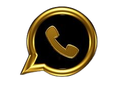 WhatsApp Icon